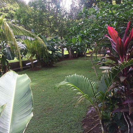 Hotel Sandpiper 哈科 外观 照片